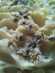 savon à la pâquerette