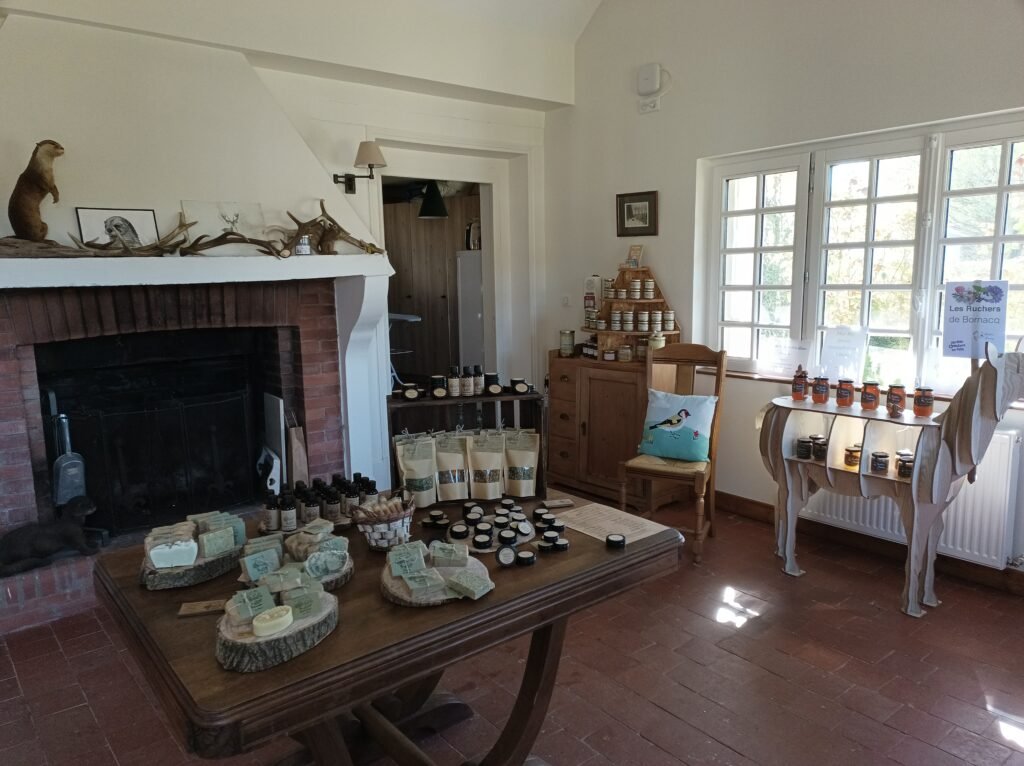 img 20260318 113436 004